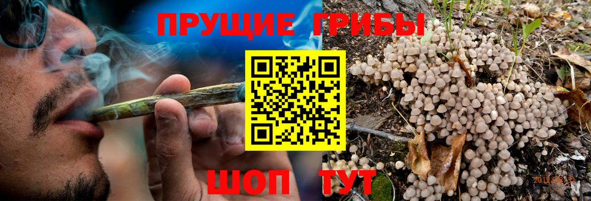 Псилоцибиновые грибы мухоморы  Вход с VPN  Галлюциногенные грибы MAGIC MUSHROOMS  Мариинск 